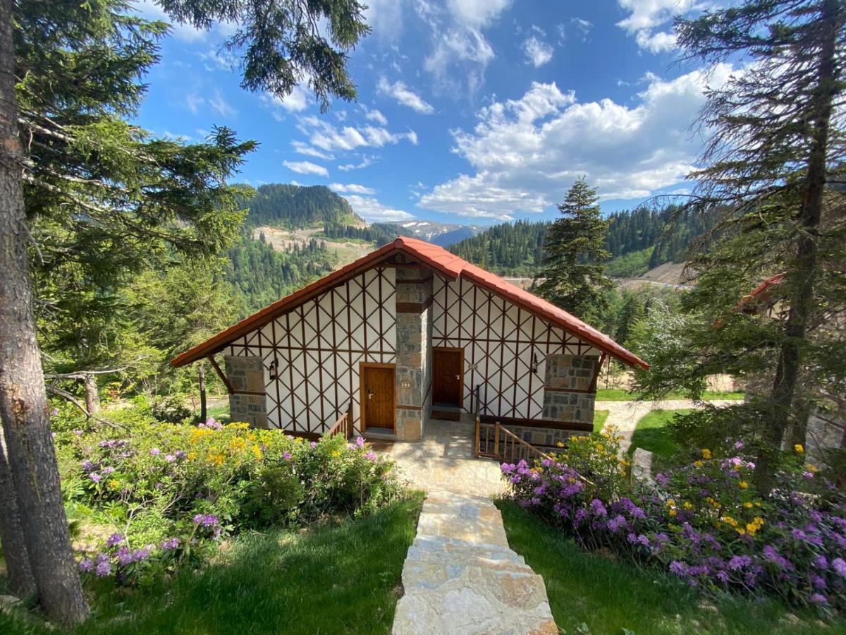 Foleya Mountain Resort Hotel & Villas Trabzon Buitenkant foto