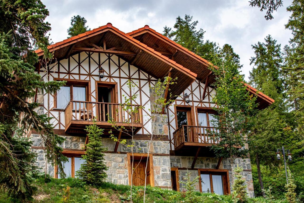 Foleya Mountain Resort Hotel & Villas Trabzon Buitenkant foto