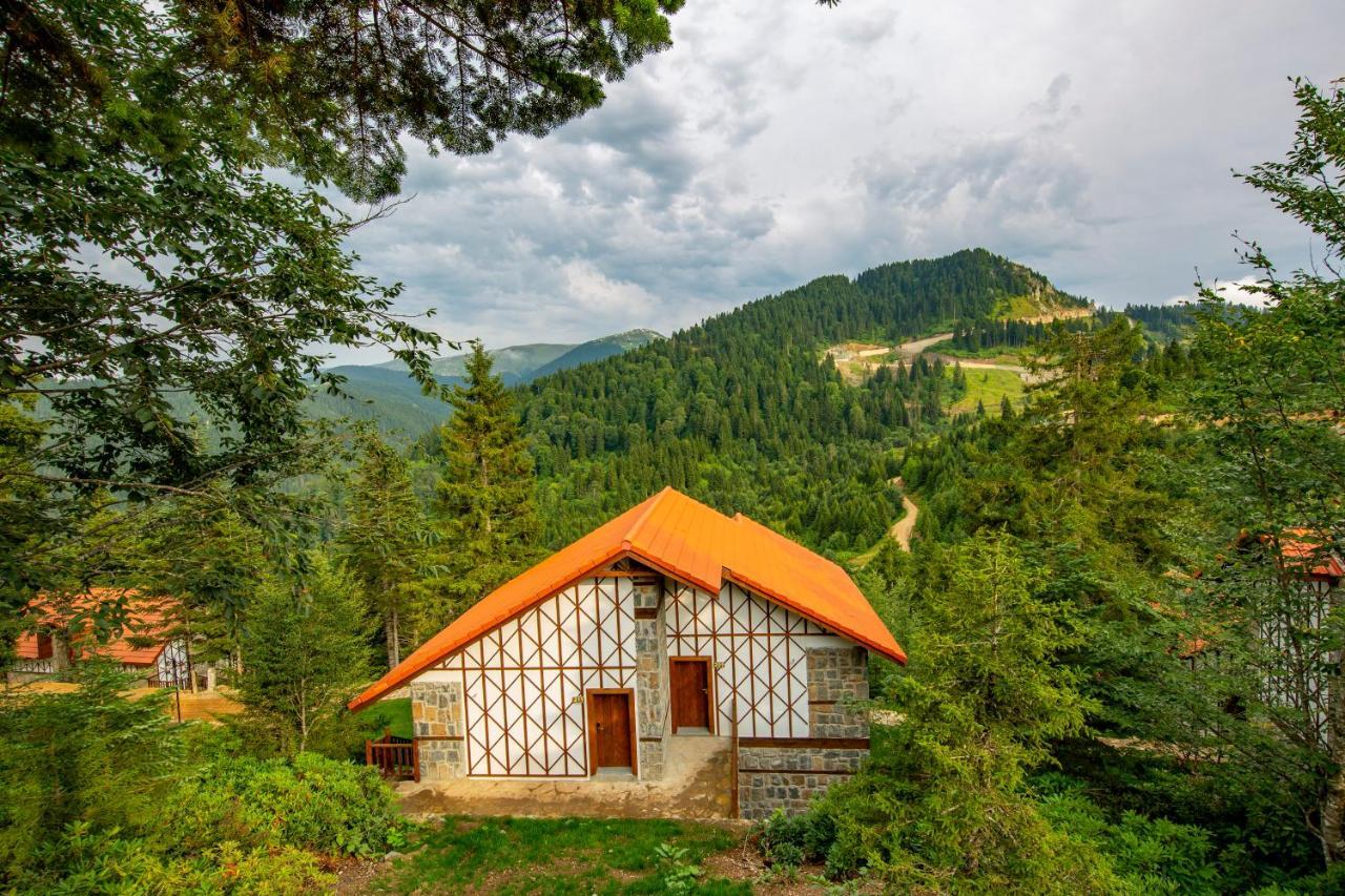 Foleya Mountain Resort Hotel & Villas Trabzon Buitenkant foto